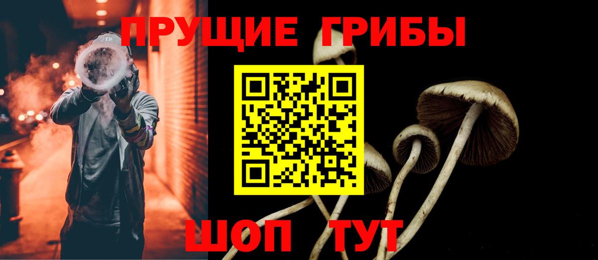Галлюциногенные грибы MAGIC MUSHROOMS Гурьевск